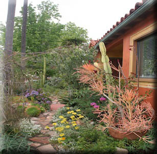 Terra Cotta Cottage Garden